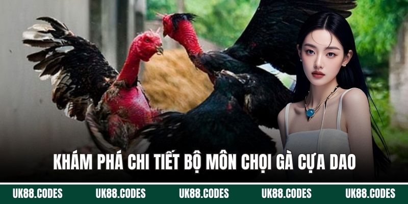 Khám phá chi tiết bộ môn chọi gà cựa dao 